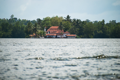 Casa rodeada de palmeras