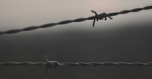 Barbed wire rows