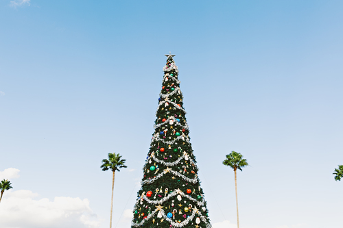 Etrafında palmiye ile Noel ağacı