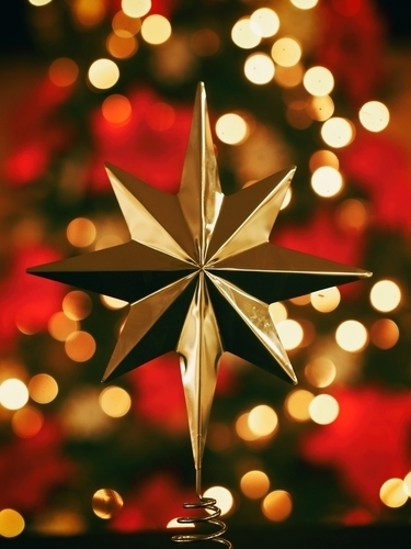Різдвяна зірка