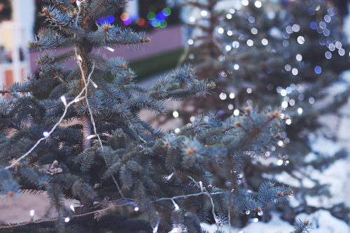 El árbol de Navidad con luces