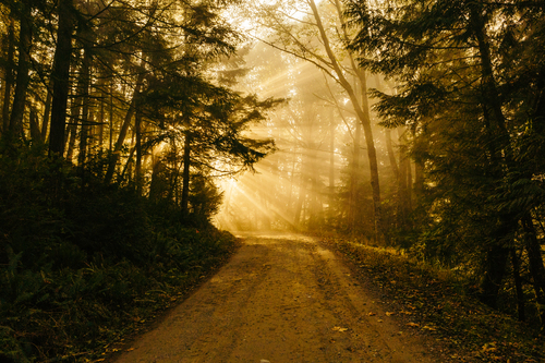 Chemin de montagne avec la lumière du soleil