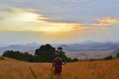 Afrika kabile üyesi