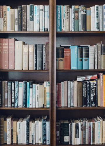 Classic literature bookcase