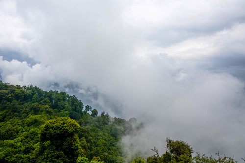 Nuvens sobre a selva
