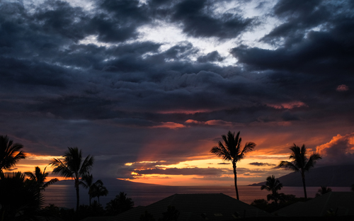 Molnigt solnedgång över palmer
