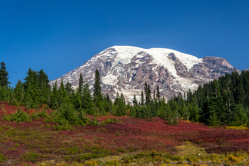 Paisagem colorida com uma montanha nevado