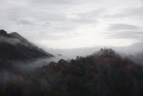 Dark wooded hills in fog