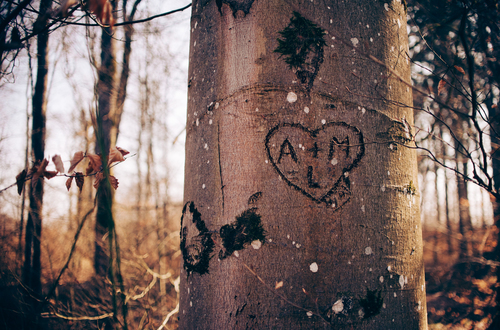 Written in the tree