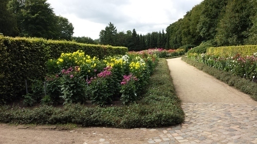 Grande jardim botânico