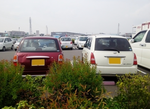 Большая парковка с двумя автомобилями в фокусе