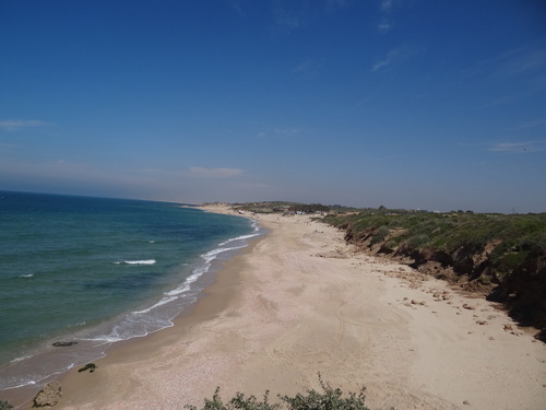 Palmachim beach