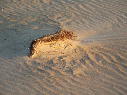 Duna de areia