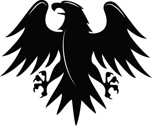 Águila negra