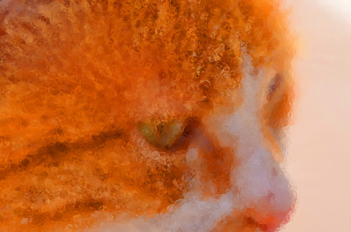 Imagem de close-up gato com efeitos