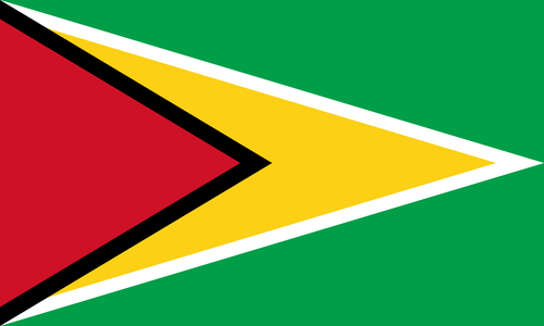 Flagga av Guyana