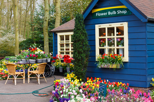 Tienda de flores