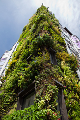 Groene muur op een hotelgebouw