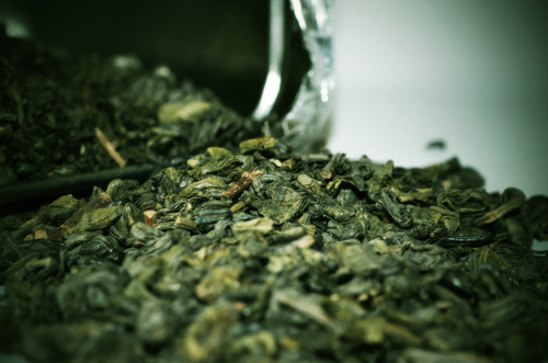 Grönt te i rutan