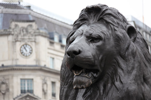 Lion sur la place de Trafalgar