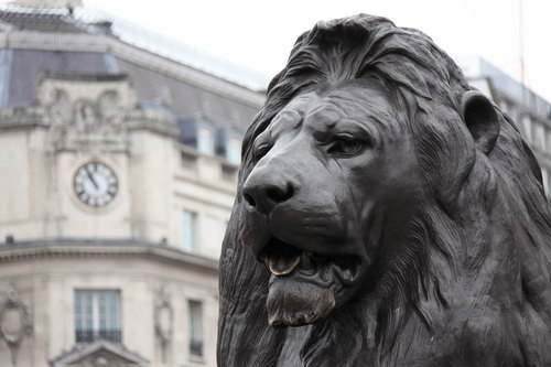 Leone su Trafalgar Square