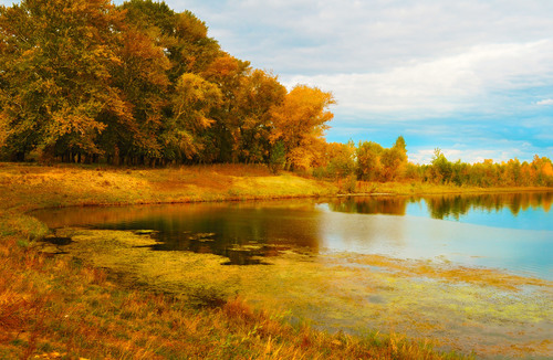 Autumn on a river