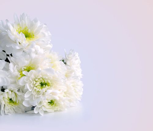 Bunch of white flowers