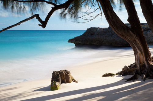 Spiaggia tropicale