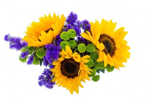 Sunflowers arrangement isolated