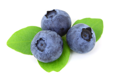 Blueberry geïsoleerd op witte achtergrond