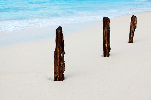 Gecorrodeerde stokken op het zandstrand