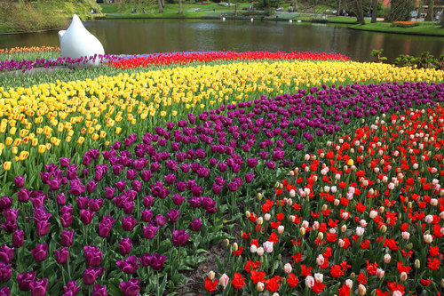 Botanical garden with lake