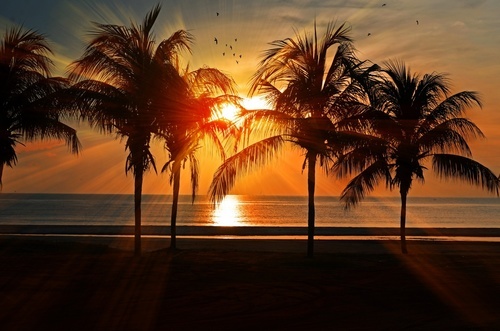 Sunset on the tropical beach