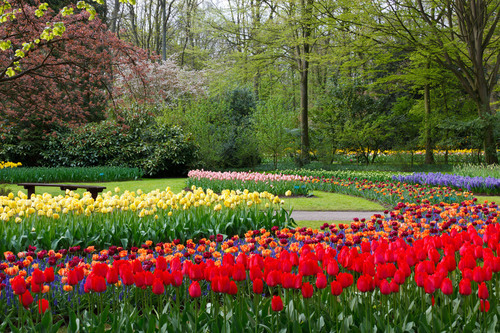 Färgglada blomrabatter i park