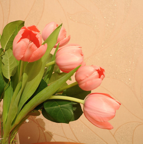 Tulipanes en un florero