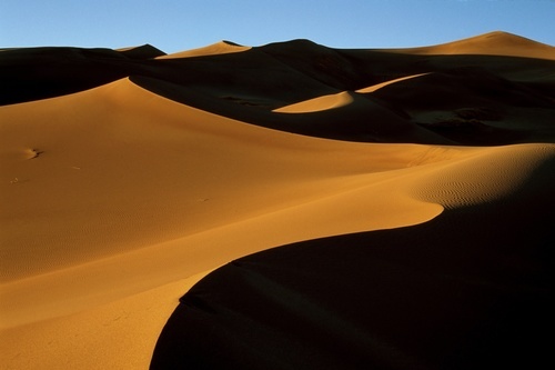 Пустыня на солнце