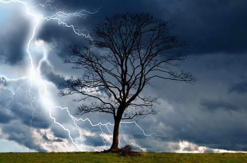 Lightning and a tree