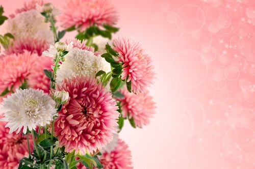 Blomsterarrangemang i rosa och vitt