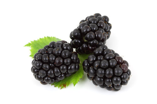 Blackberries on white background