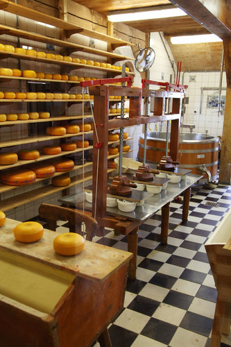 Producţia de brânză
