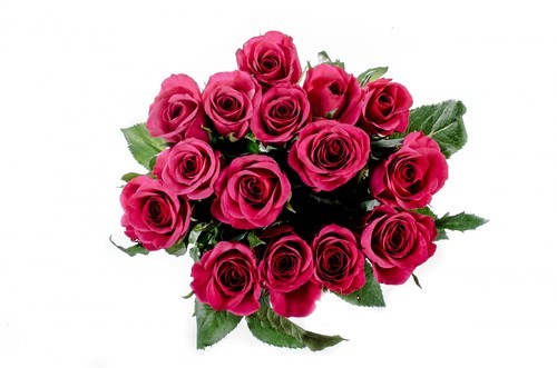 Bouquet de la vue de dessus de roses