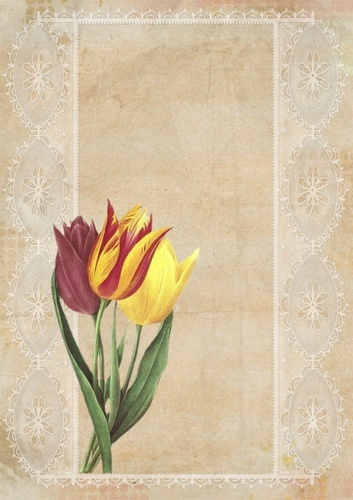 Tulips collage retro style
