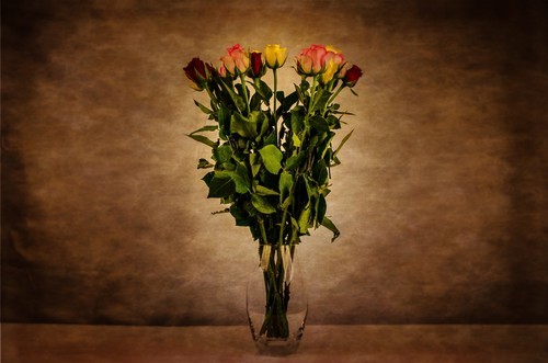 Flowers in vase on dark background