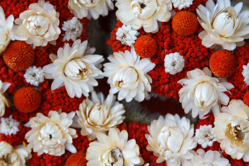 Floral arrangement close up