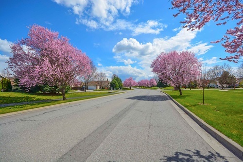 Wide suburban street