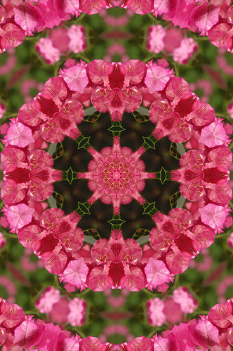 Mandala florale Simbol