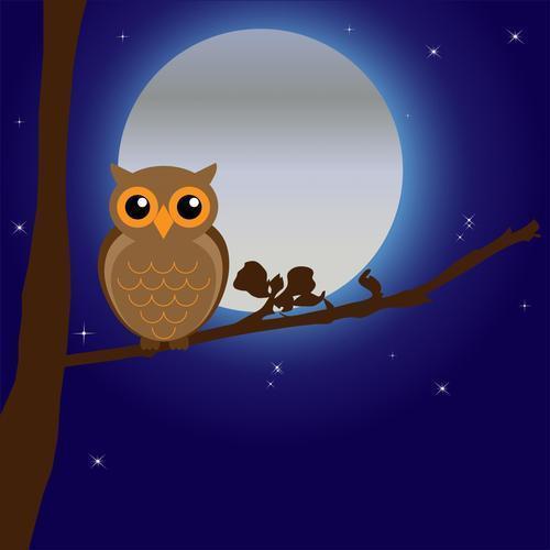 Owl colorful illustration