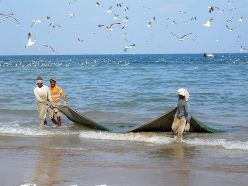 Pescadores puxando redes de arrasto
