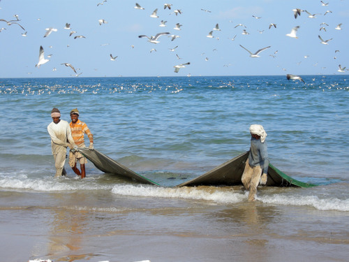 Pescatori tirando fuori reti da posta derivanti