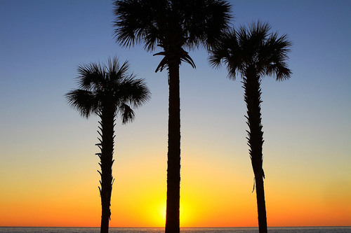 Hollywood beach zonsopgang